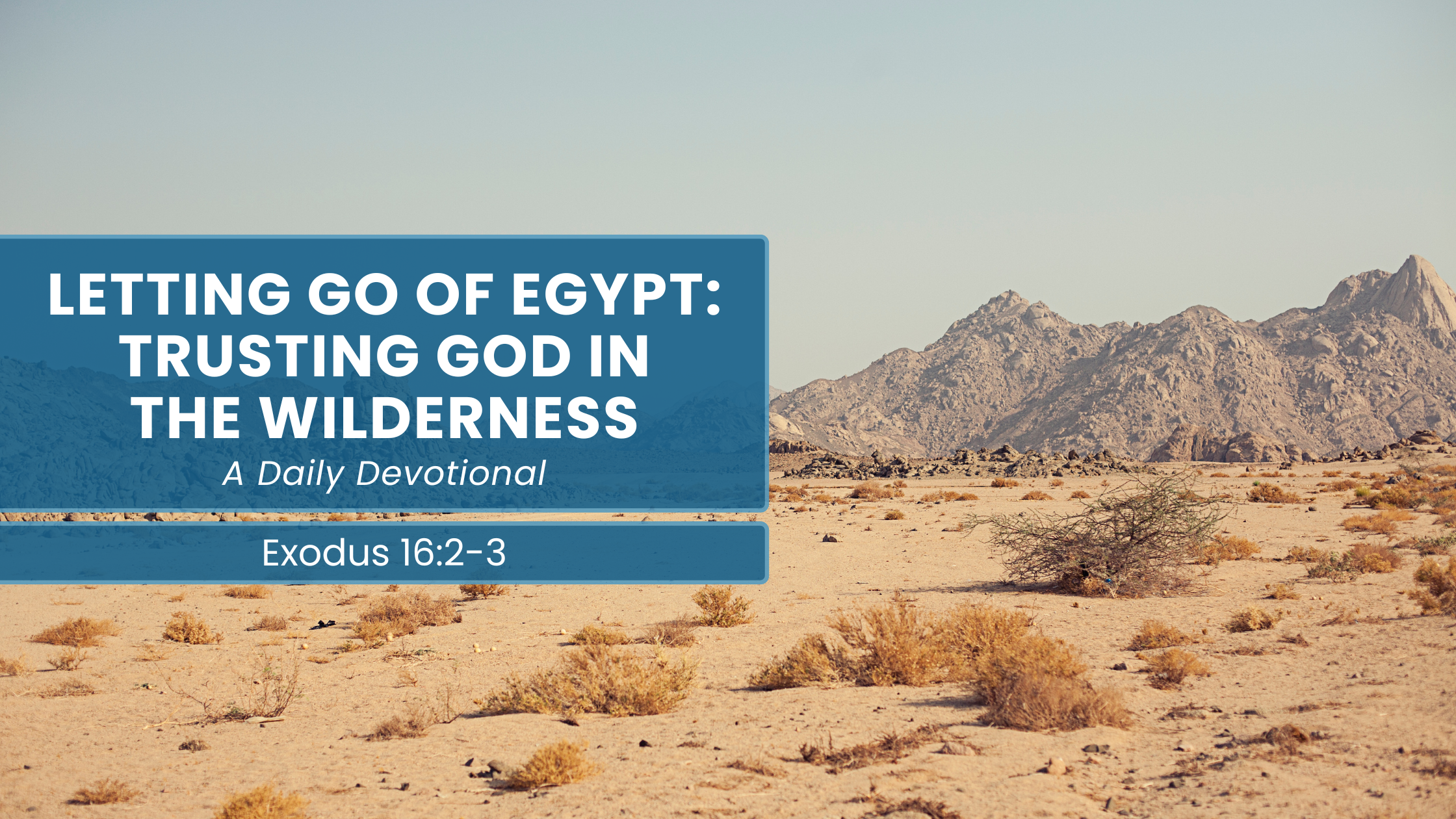 Wilderness journey with a clear path – trusting God during trials